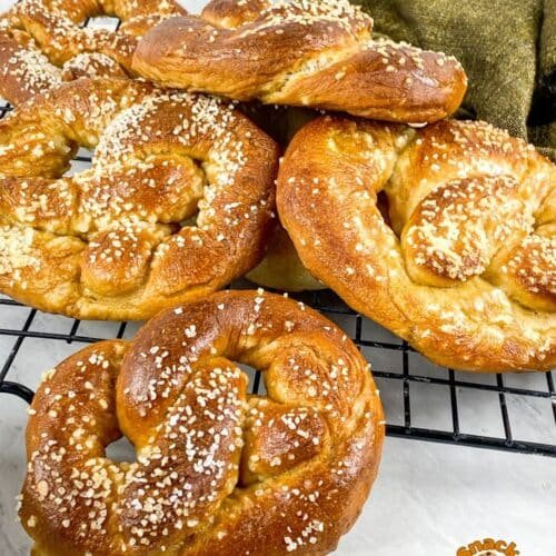 Homemade Soft Pretzels That Taste Just Like the Bakery (But Better!)